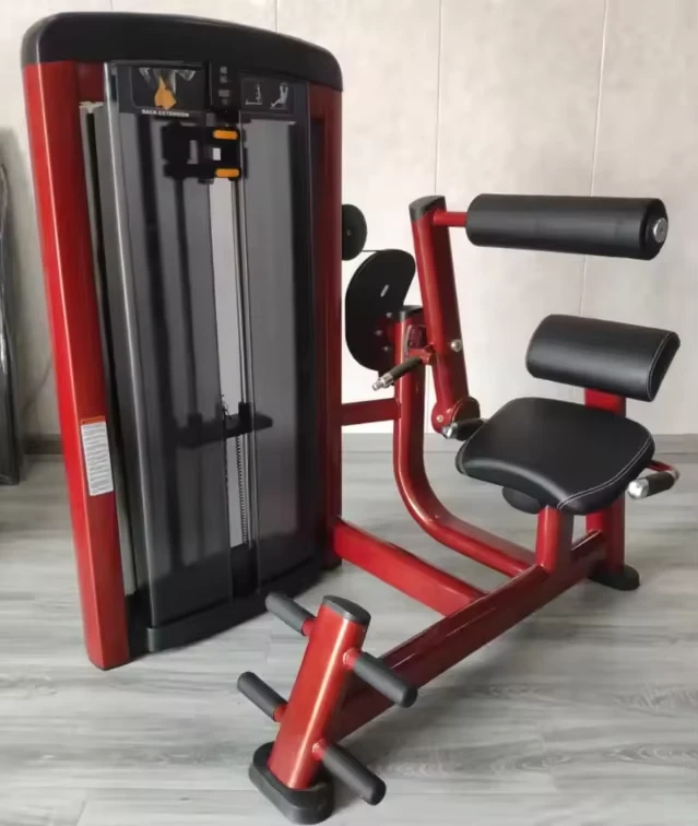 Back Extension Trainer: Refine Back Muscles factory